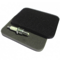 Сервисные наборы для бензиновых электростанций